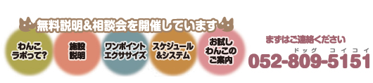 無料相談会
